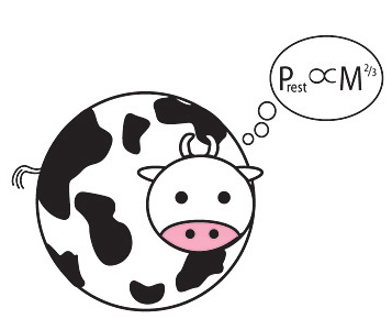 Spherical Cow